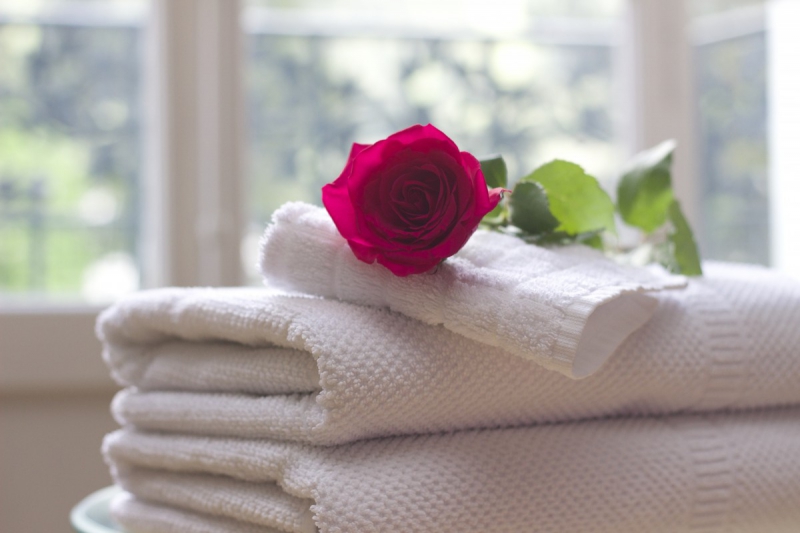 chambre-hote-LES MAYONS-min_towel_rose_clean_care_salon_spa_white_bath-731641